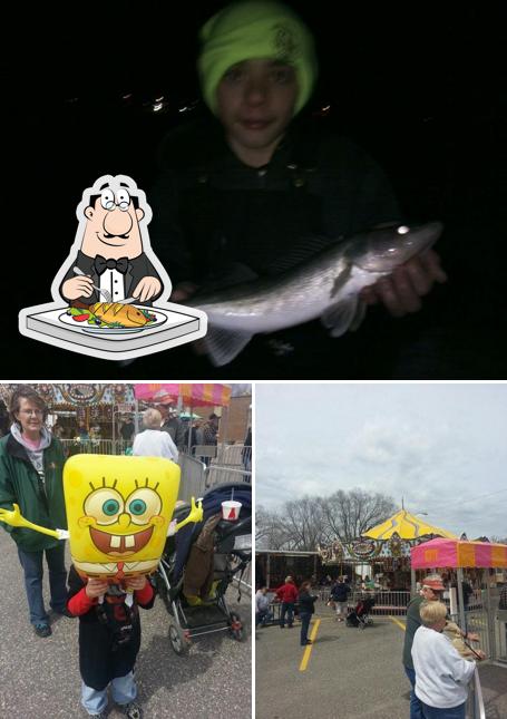 Fish N Fun