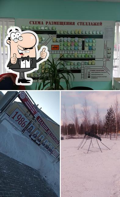 НПО Сервис