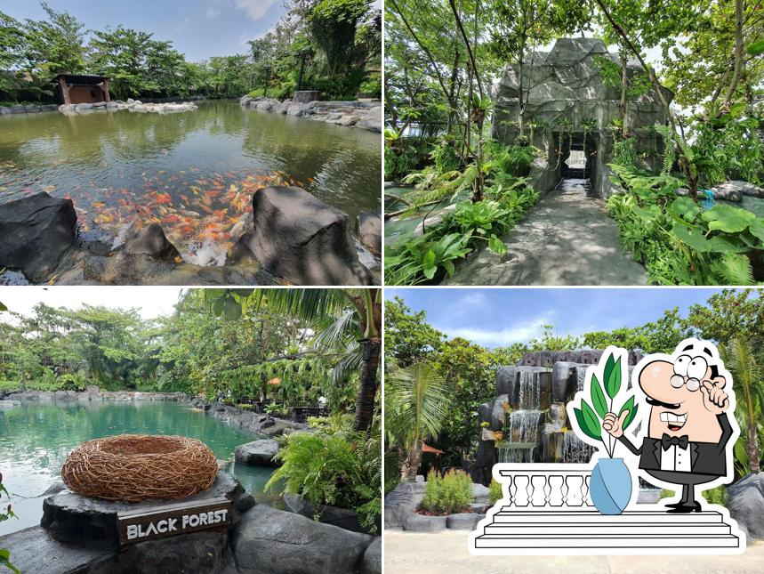 Black Forest Pattaya