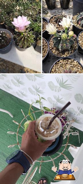 Mnew Cafe&Garden