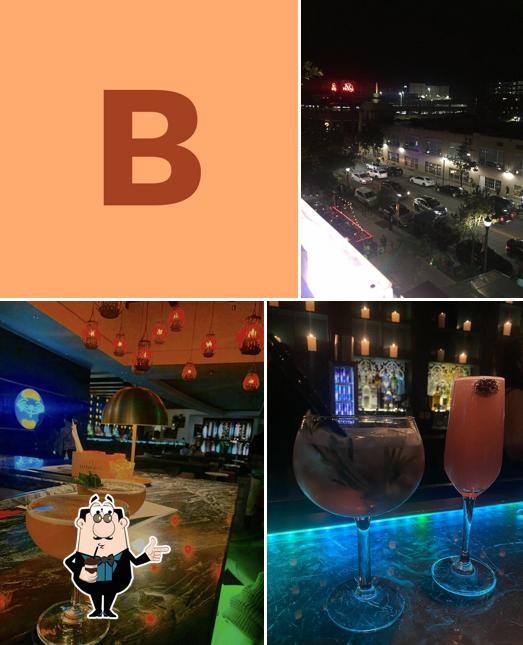 Botanical Lounge