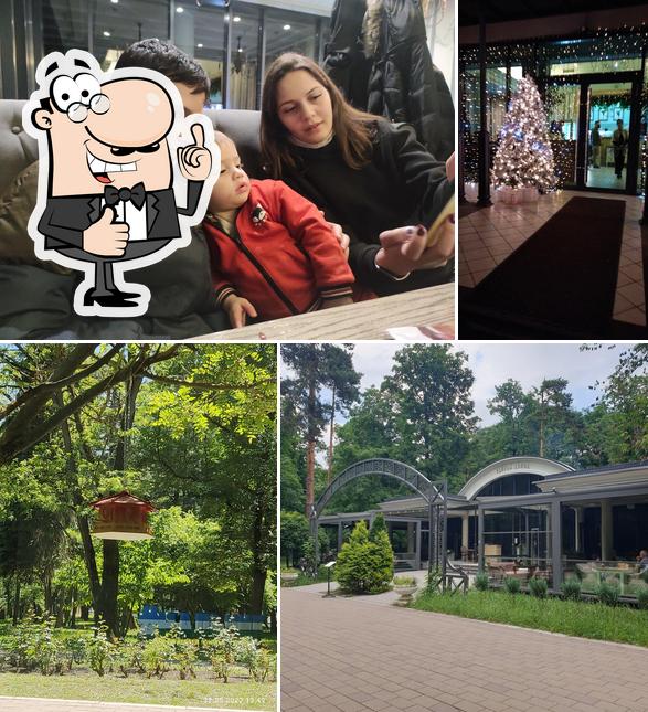 Чайный домик