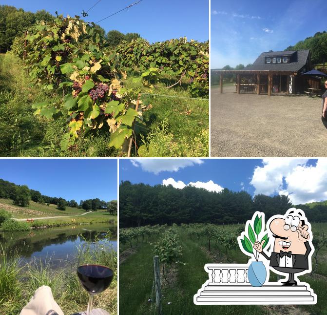 Pail Shop Vineyards