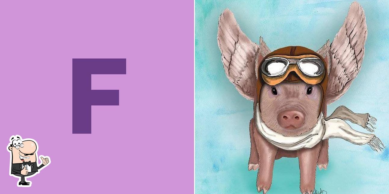 Flyin Pig Emporium