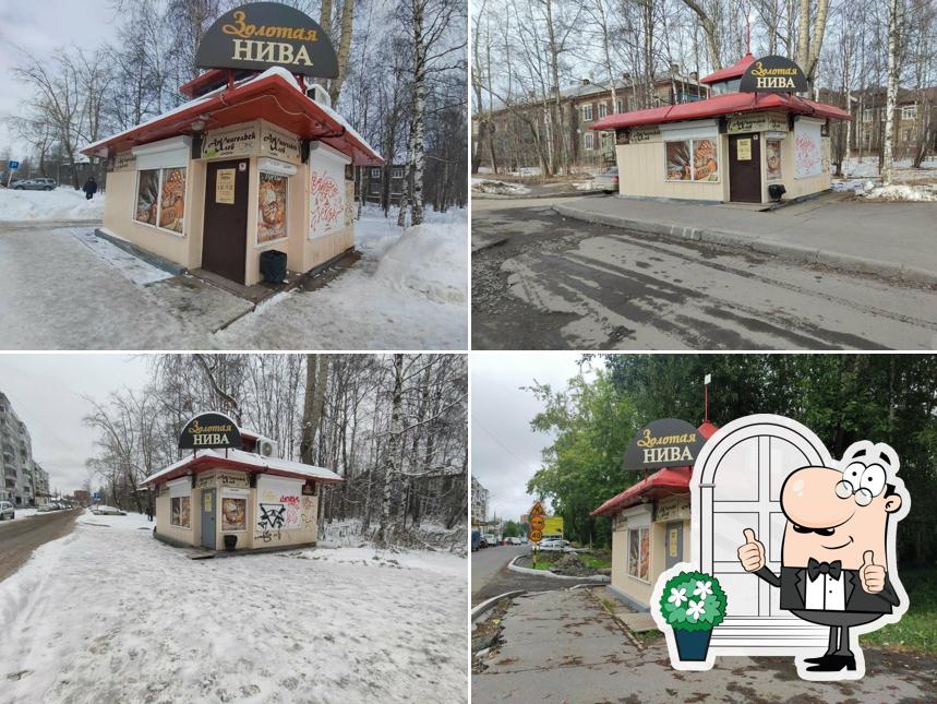 Золотая нива