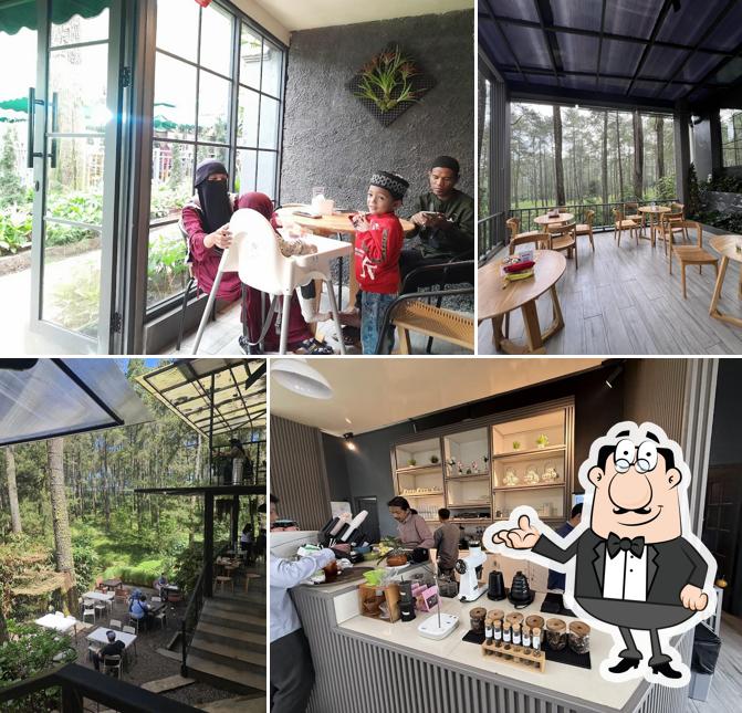 Strobilus Cafe & Resto