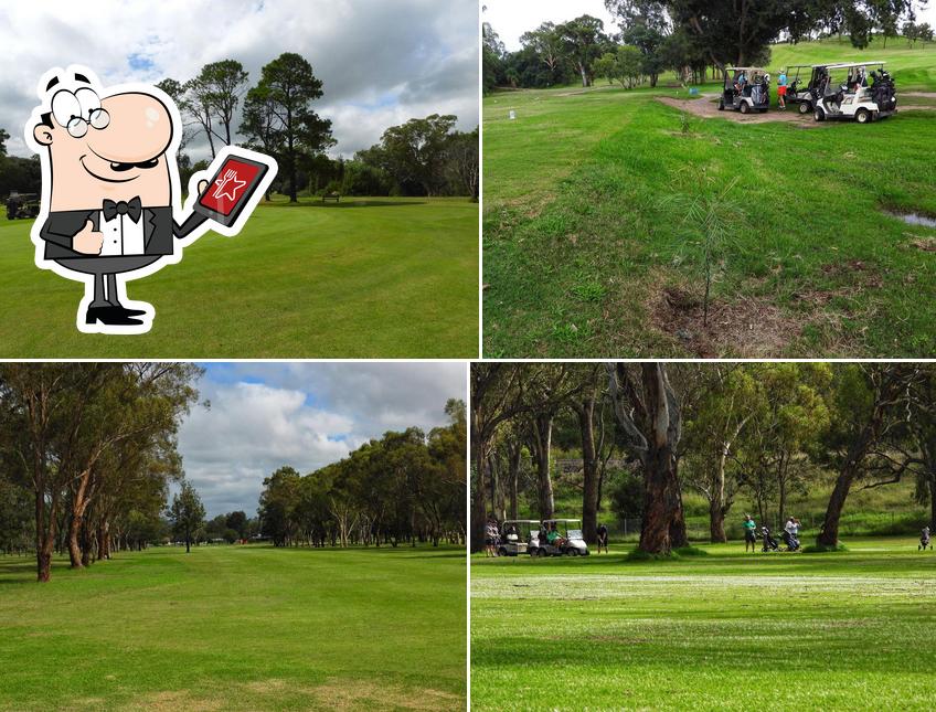 Muswellbrook Golf Club Muswellbrook NSW