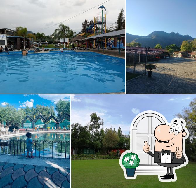 Cattery Las Truchas