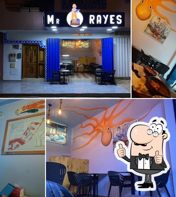 Mr Rayes