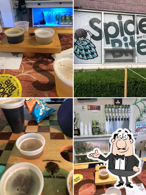 Spider Bite Beer Co