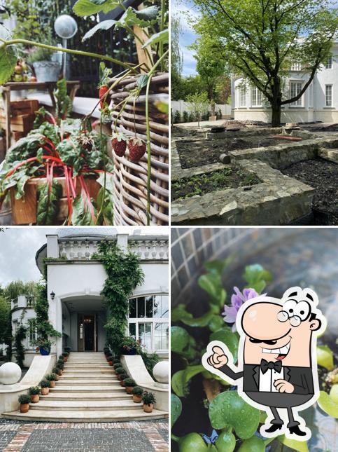 Babo Gardens/Бабо Гарденс