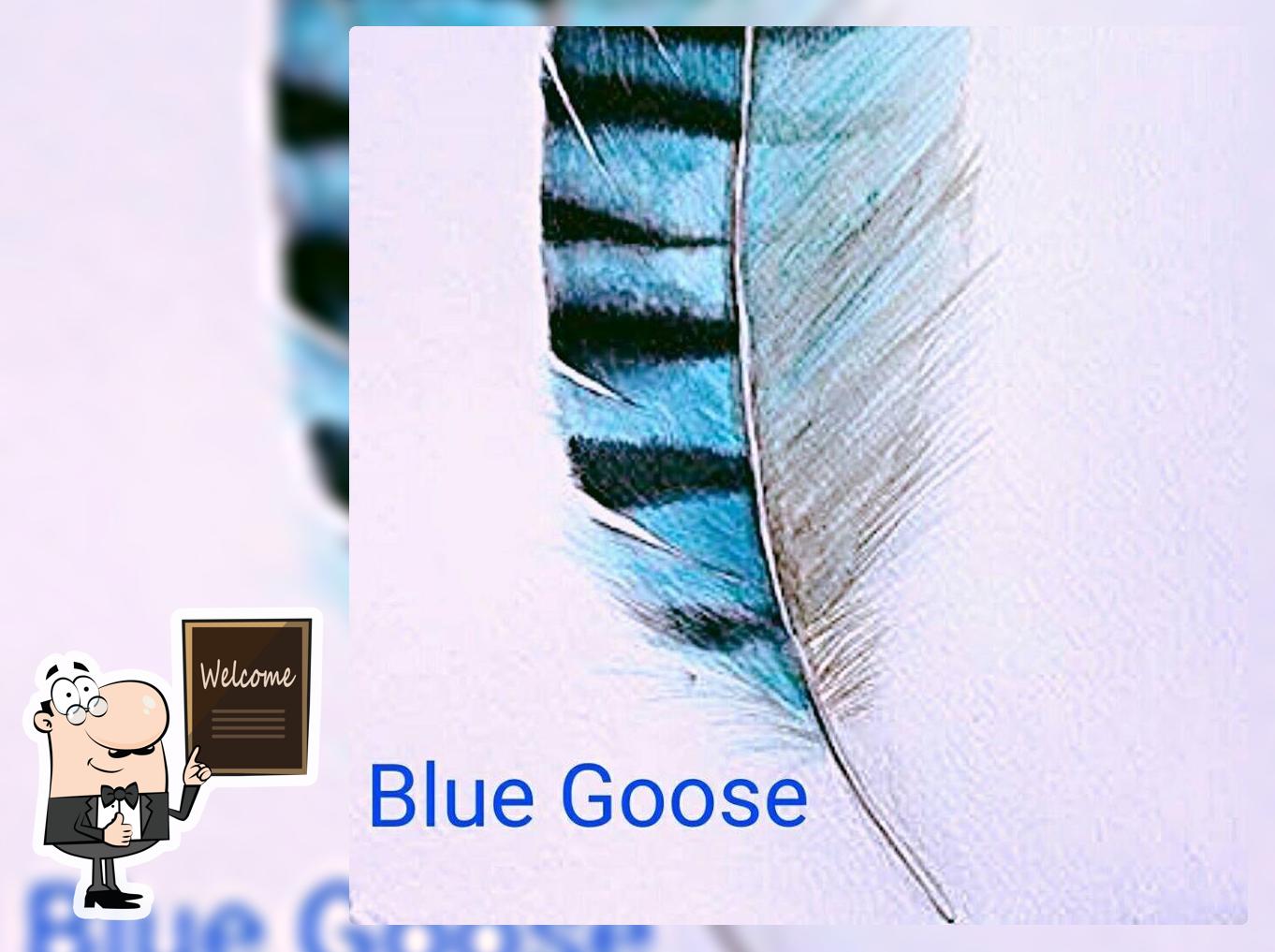 Blue Goose