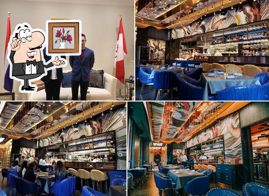 Enigma Yorkville