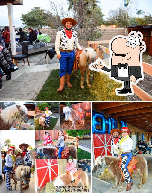 Mi Luna Party Rentals