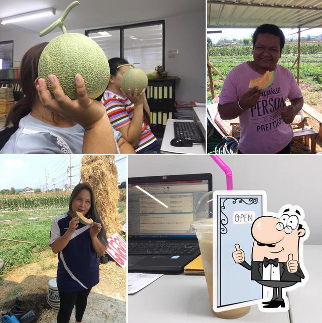 Doi Chaang Durian