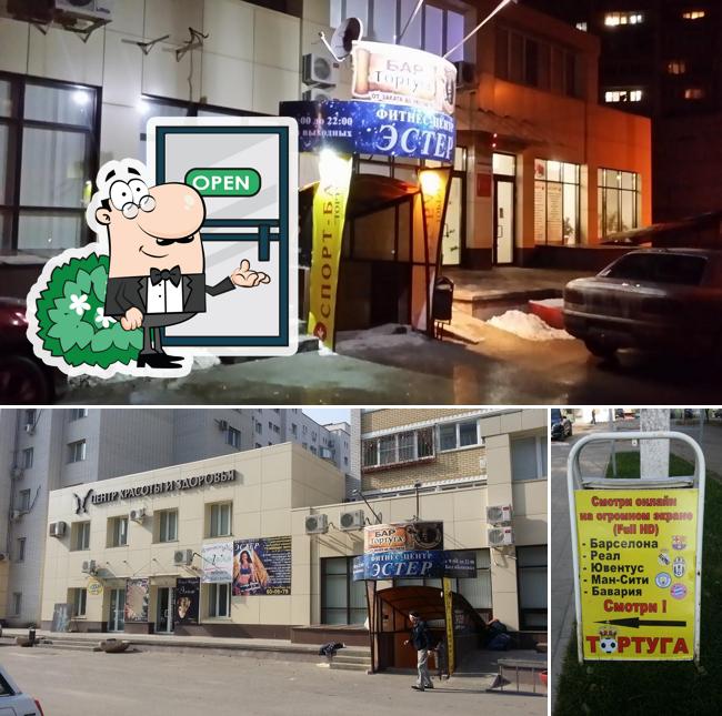 Тортуга