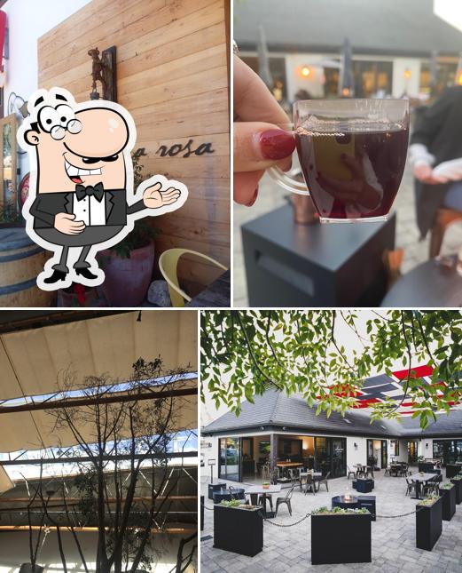 Alma Rosa Winery & Vineyards Tasting Room