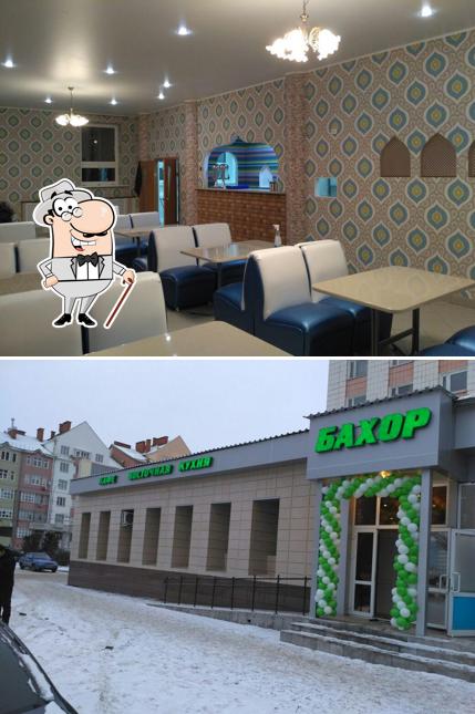 Бахор