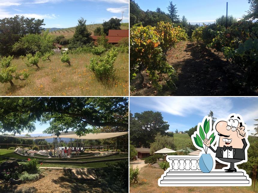 Santa Cruz Wine Tours