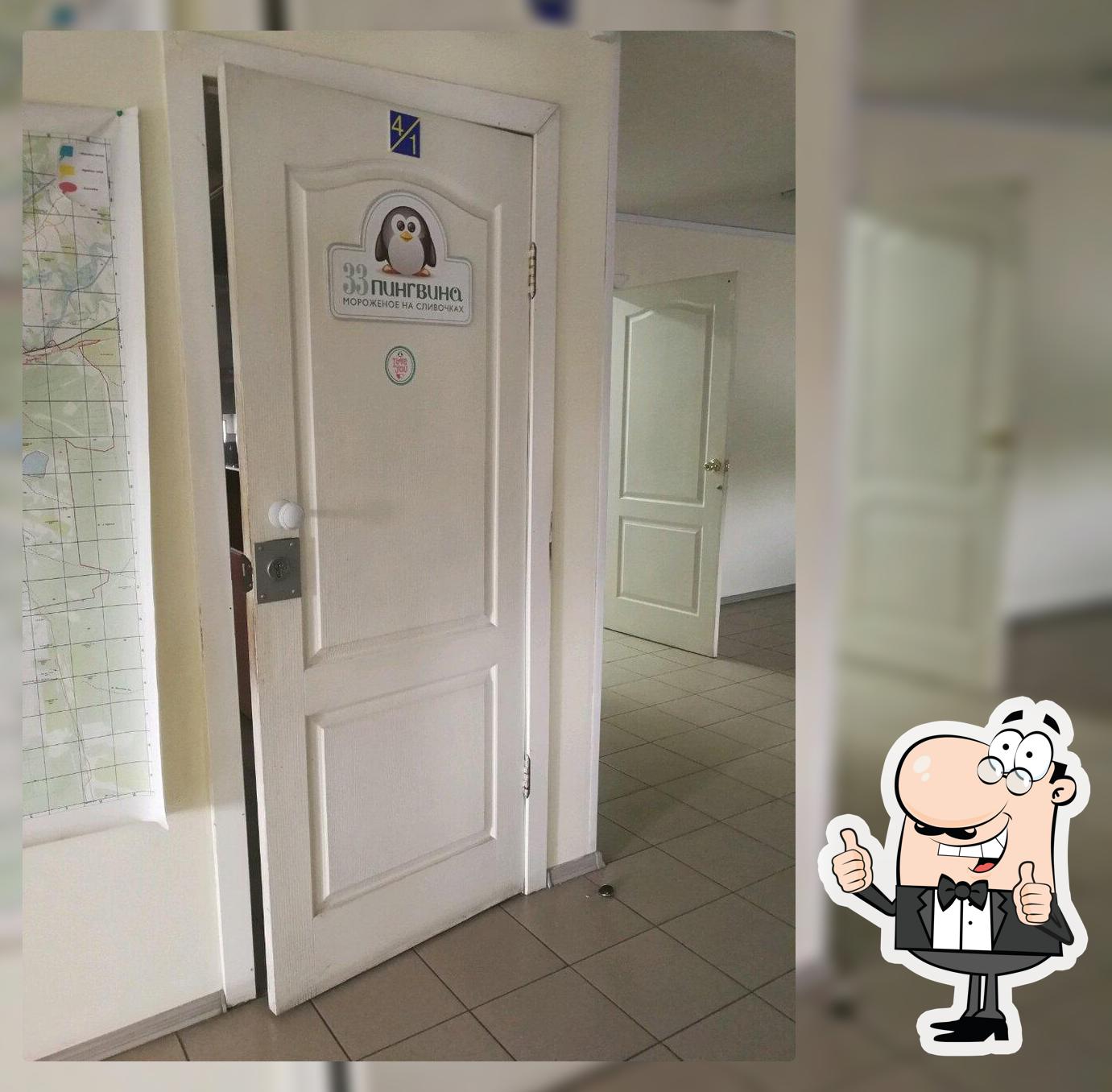 33 Пингвина