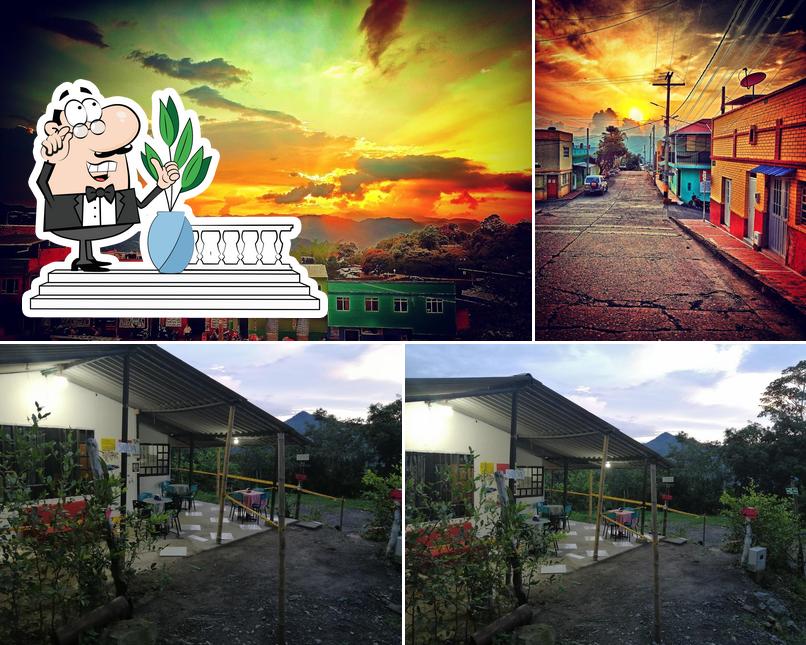 Darny Express Campestre
