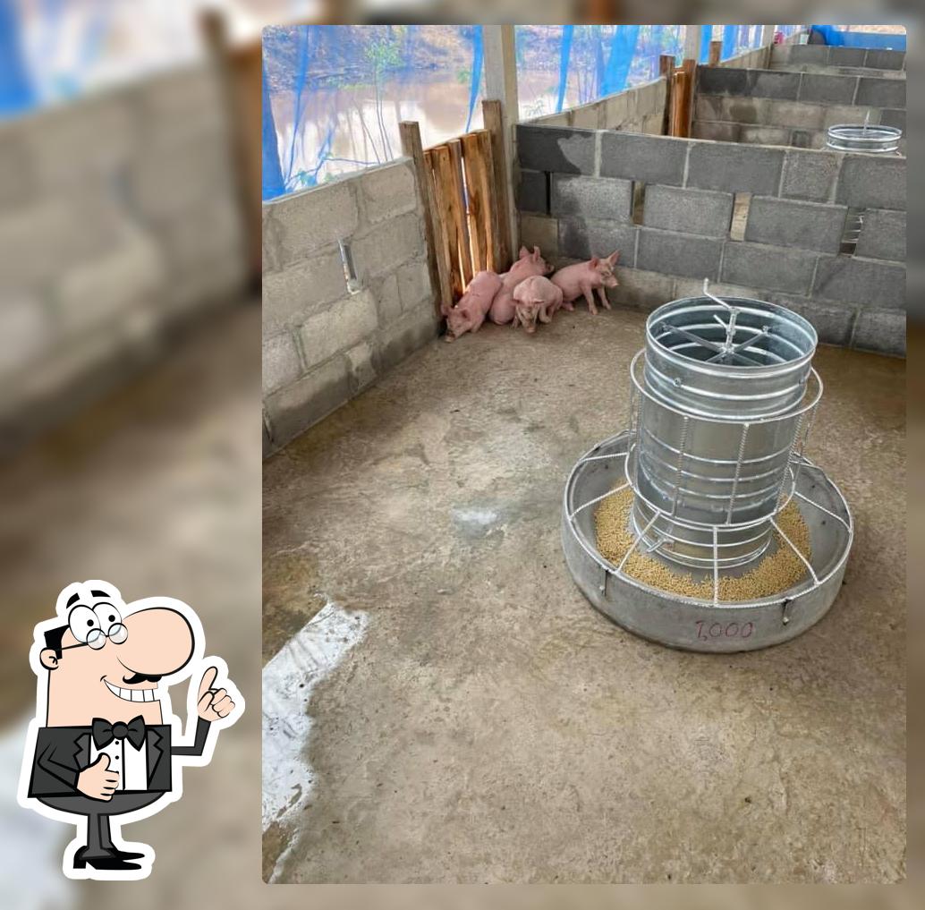 ร้านสมพงษ์หมูสด
