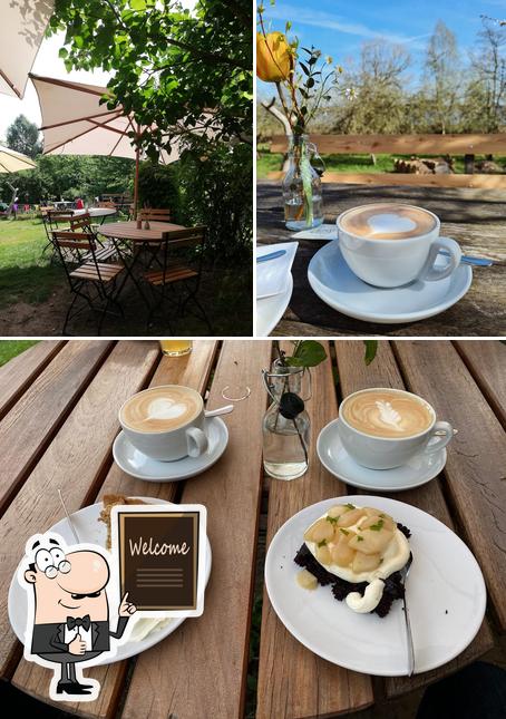 café gröönte