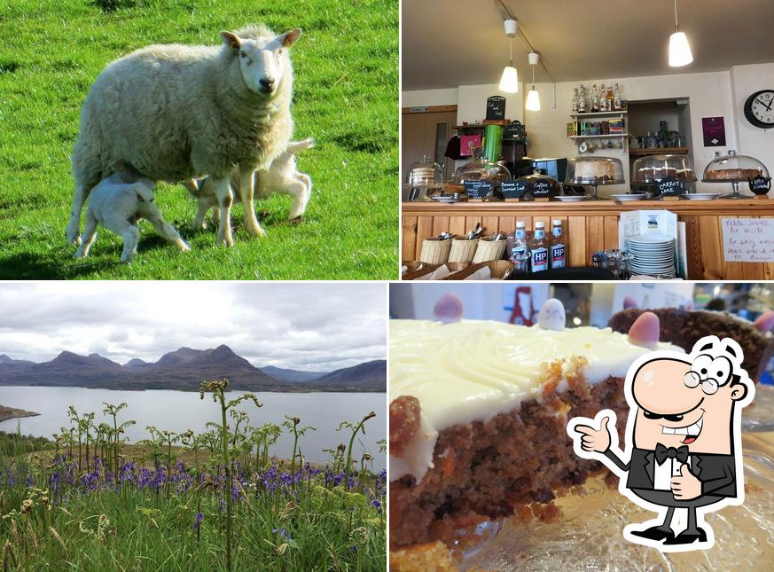 The Torridon Stores & Cafe