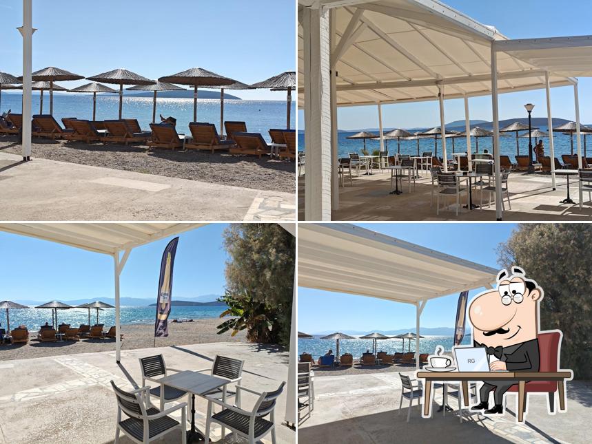 Adrian's Beach Bar
