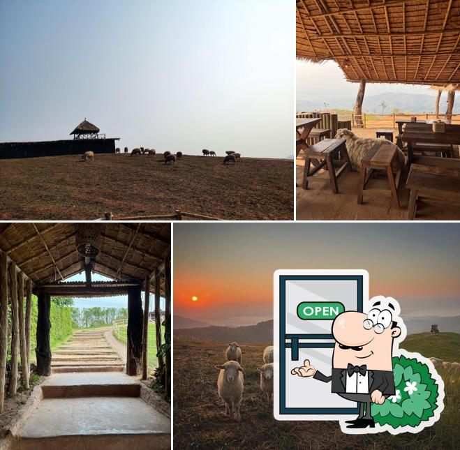 Akha FarmVille