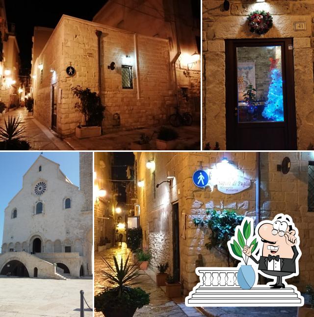 Venere Pizza E cucina