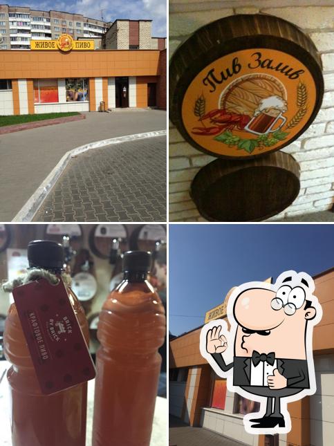 Пив Залив