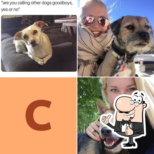 Caroline’s OC Pet Care