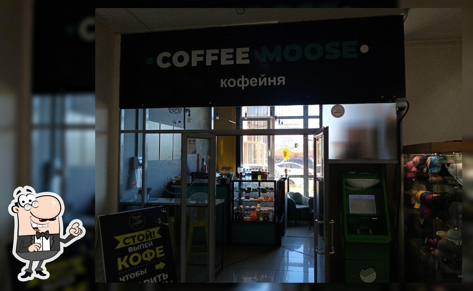 Coffee Moose