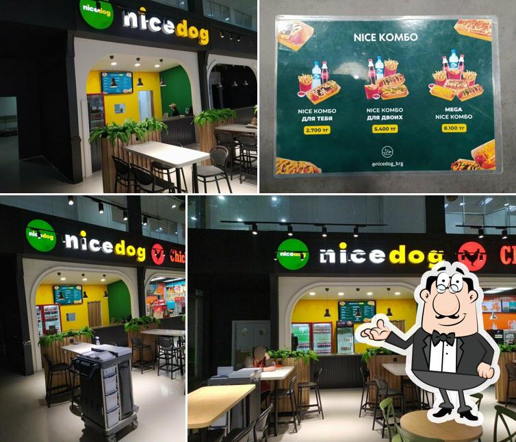 Nice Dog