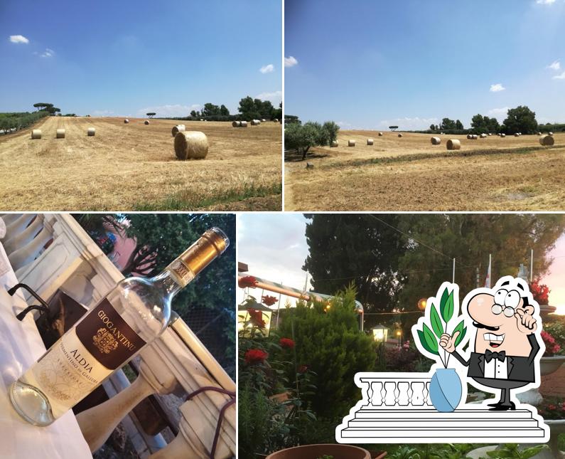 La Taberna Del Sardo