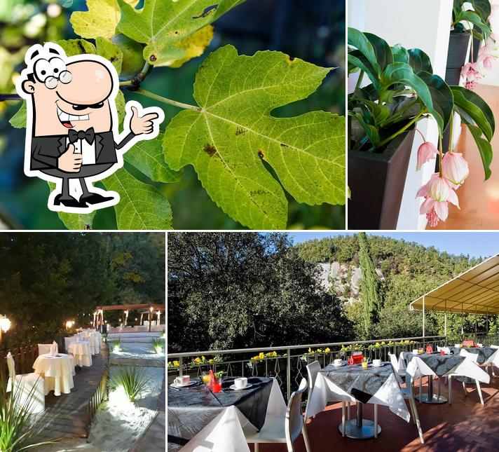 Hotel La Selva