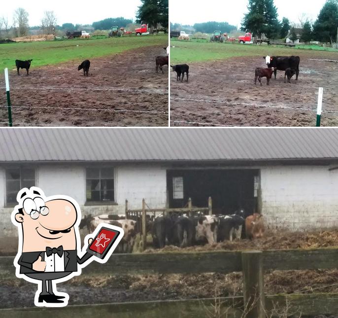 Osborn Dairy