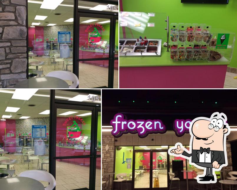 Sweet Freeze Frozen Yogurt