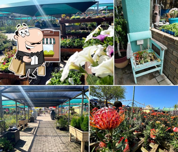 Wonderland Nursery, Coffee shop & Playpark