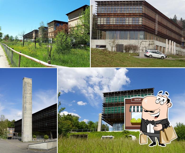 Lyss Forestry Training Center (BZW-LYSS)