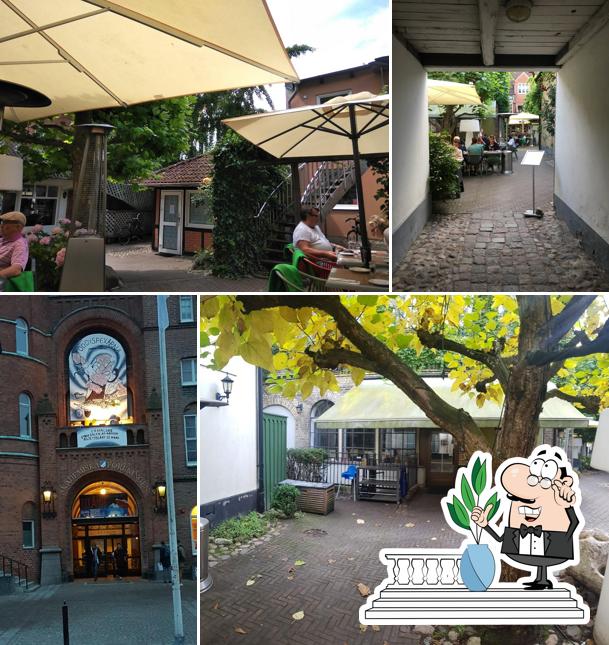 Italia Il Ristorante