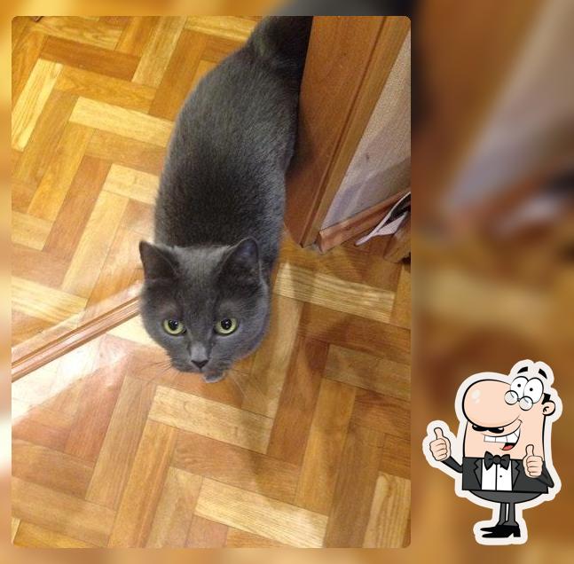 У Палыча