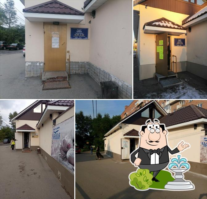 Чайка