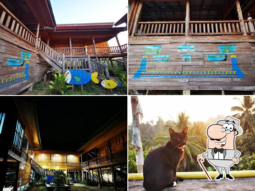 เสือเฒ่า cafe&homestay