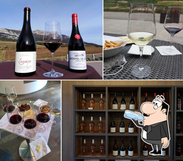 Bodegas Lozano Rioja
