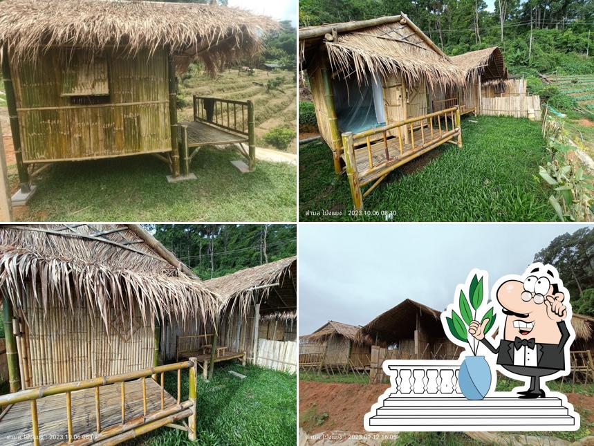 จูป้างการ์เด้นท์ "ที่พัก,ลานกางเต็นท์,แคมปิ์ปิ้ง,Camping"