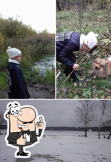 Пример