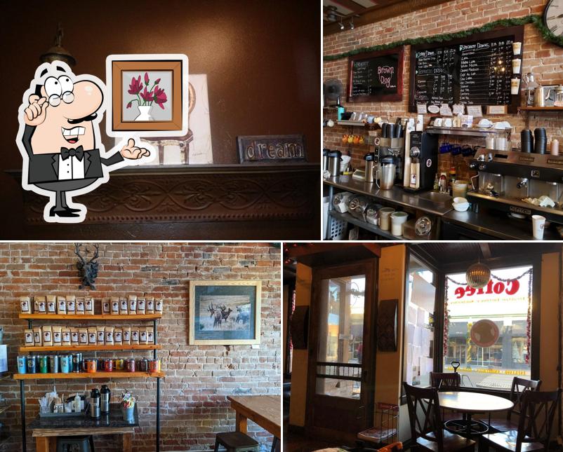Brown Dog Coffee Company