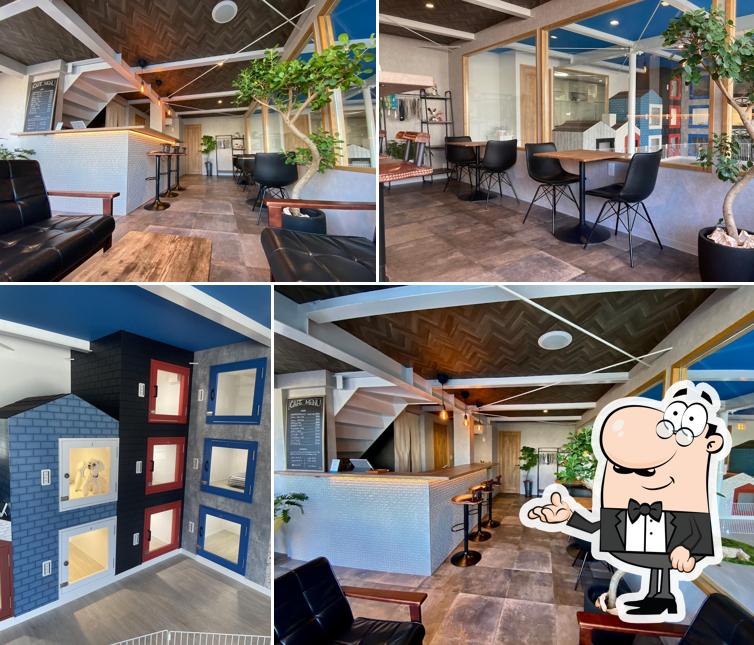 dogsalon&cafe oppoto